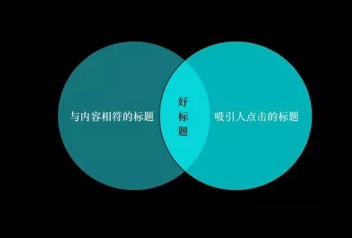 新媒体主管