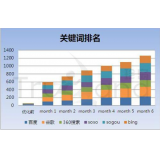 廊坊如何防止SEO关键词排名下降